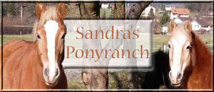 sandrasponyranch.bmp